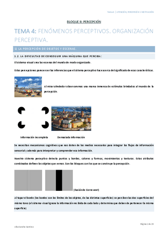 Atencion-Percepcion-y-Motivacion-Tema-4-Alba-Sancho.pdf