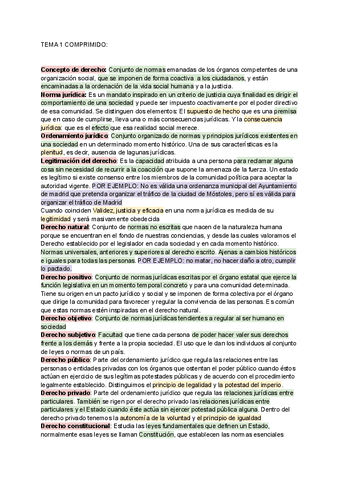 TODOS-LOS-TEMAS-importante.pdf