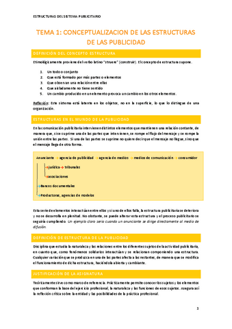 ESTRUCTURA-DEL-SISTEMA-PUBLICITARIO-asignatura-completa.pdf