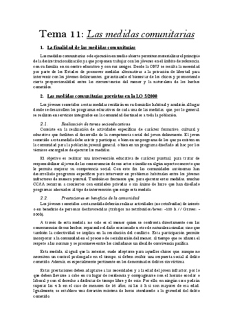 Tema-11DJ.pdf