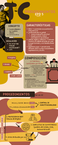 EPD-5-PROCEDIMIENTOS-DEL-TC.pdf