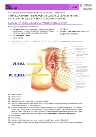Tema-1.-Anatomia-i-fisiologia-de-laparell-genital-femeni.-Cicle-genital-ovaric-i-endometrial.pdf