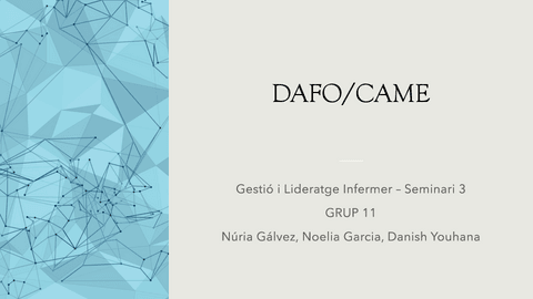 DAFO-CAMEGrup-11-2.pdf