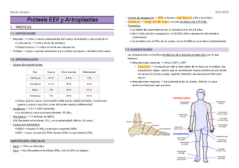 Sem6-RHB-artroplastias-y-amputaciones.pdf