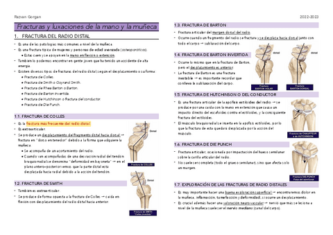 T11-Fracturas-y-luxaciones-mano.pdf