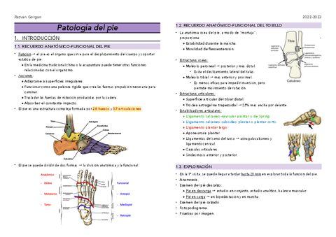 T20.-Patologia-del-pie.pdf