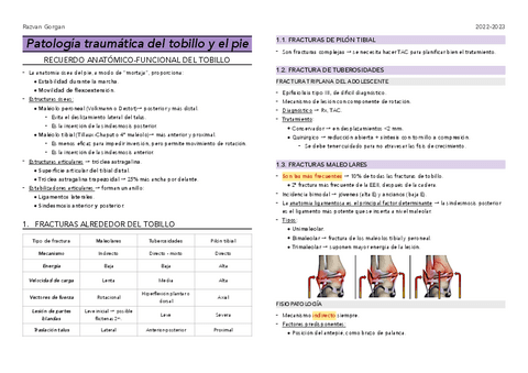 T21.-Patologia-traumatica-de-tobillo-y-pie.pdf