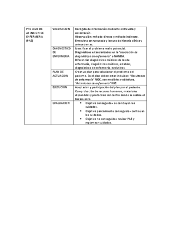 Plan-de-actuacion-de-enfermeria-PAE.pdf