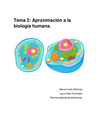trabajo-tbe-celulas-t2.pdf
