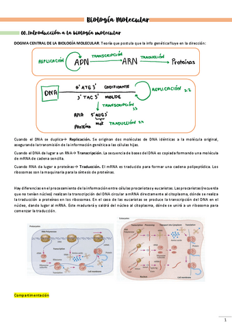 biologia-molecc.pdf