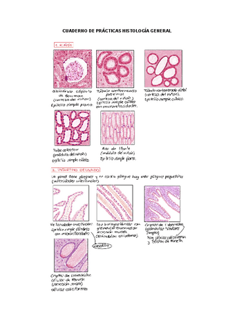 Cuaderno de prácticas de histología general.pdf