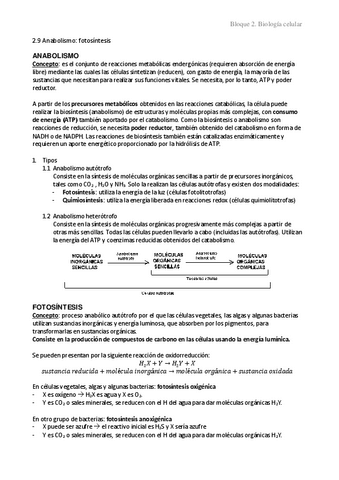 2.9-Anabolismo-fotosintesis.pdf