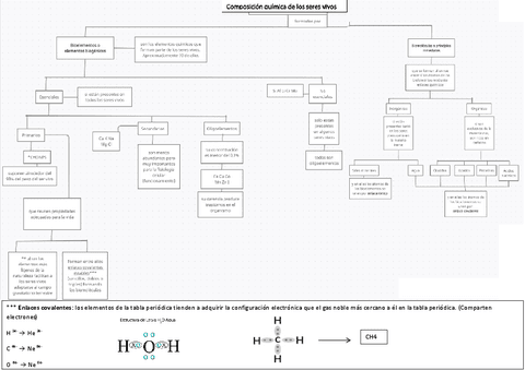tema-1-y-2-fijo.pdf