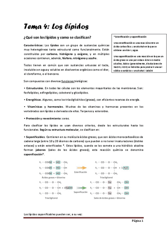 tema-4.pdf