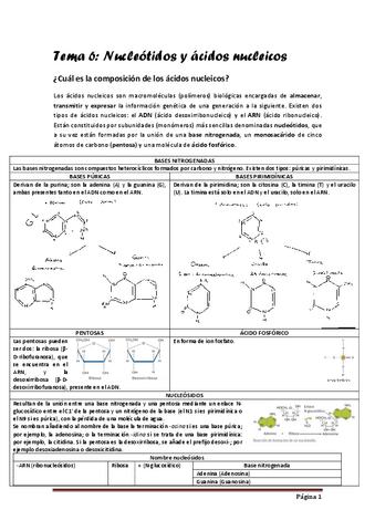 tema-6.pdf