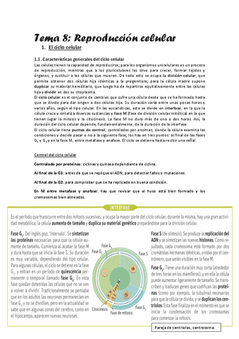 Tema-8.pdf