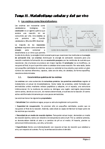 Tema-11.pdf