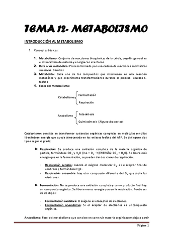 tema-12.pdf