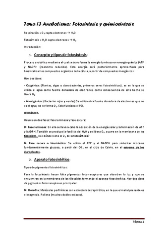 Tema-13-Anabolismo.pdf