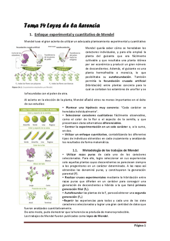 Tema-14-Leyes-de-la-herencia.pdf