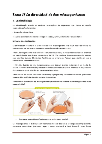 tema-18-definitivo.pdf