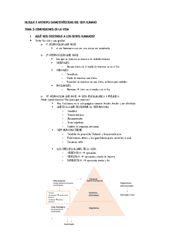 TEMA-3-ANTROPO.pdf