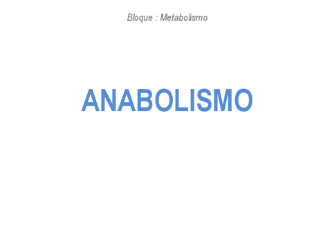 11.-ANABOLISMO.pdf