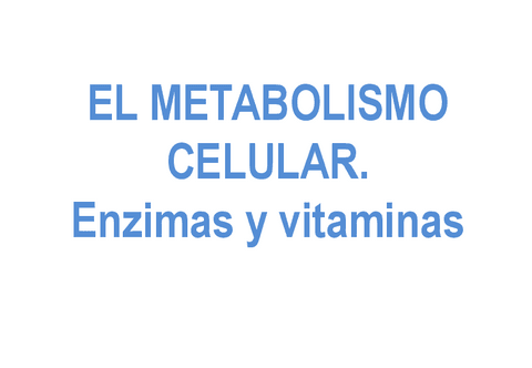 13.-ENZIMAS-Y-VITAMINAS.pdf