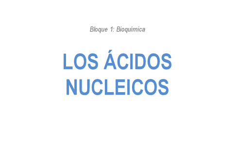 5.-ACIDOS-NUCLEICOS.pdf