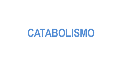 12.-CATABOLISMO.pdf