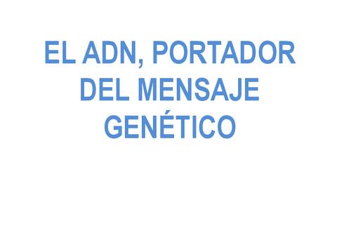 9.-ADN.pdf