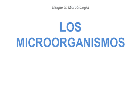 10.-MICROORGANISMOS.pdf