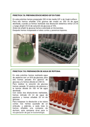 practicas-bacterias.pdf