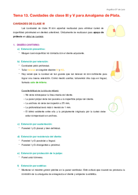 Tema 13.pdf