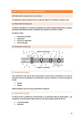 TEMA-5.pdf