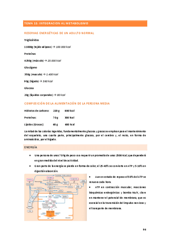 TEMA-11.pdf