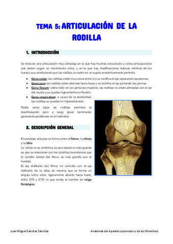 Anatomia-Tema-5.pdf