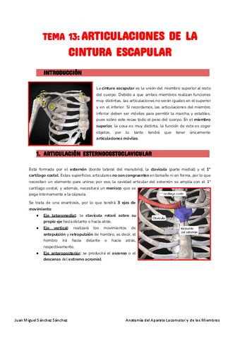 Anatomia-Tema-13.pdf