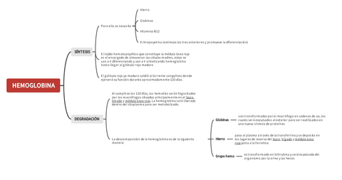 DEGRACION-Y-SINTESIS-DE-LA-HEMOGLOBINA-resumen.pdf