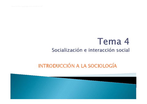 TEMA4Socializacion-e-interaccion-social.pdf