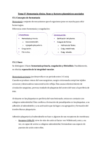 Apuntes-T.17-hematologia.pdf