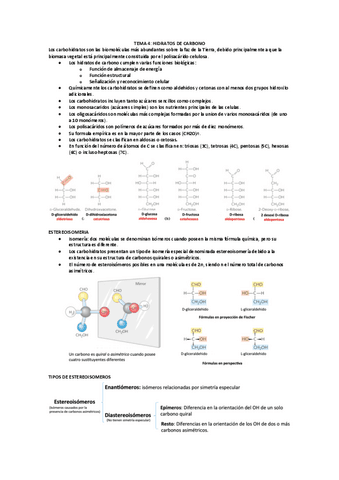 TEMA-4-HIDRATOS-DE-CARBONO.pdf
