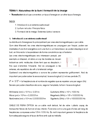 Resum-TEMA-1.pdf