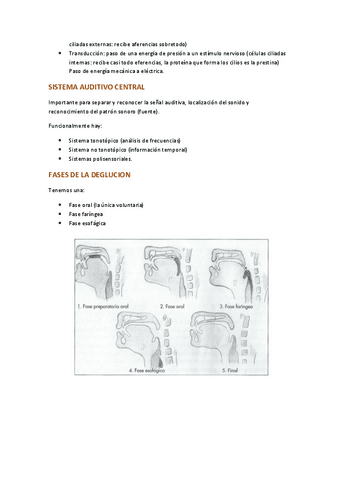 TEMAS-ALTERACIONESSSSSS-12.pdf