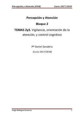 TEMA 2y3 Atención.pdf
