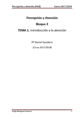 TEMA 1 Atención.pdf