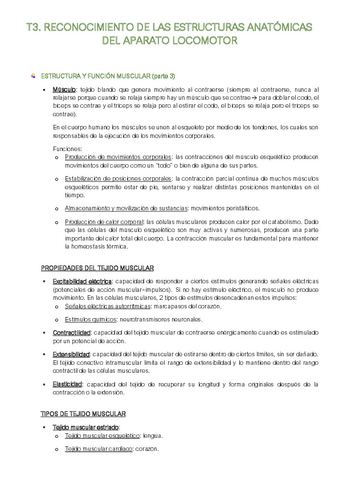 Resumen-T3-I.R-Sistema-muscular.pdf