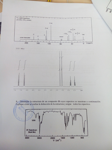 Previo 2014 (2).jpeg