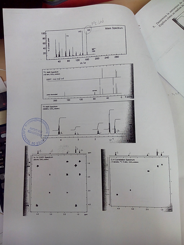 Previo 2015 (2).jpeg
