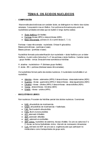 TEMA-6-Os-acidos-nucleicos.pdf